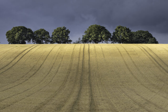 End of the Wheat